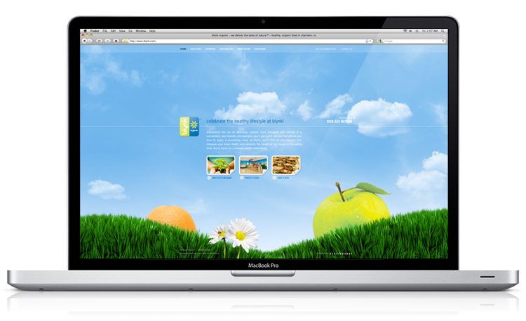 Blynk Organic&rsquo;s Homepage